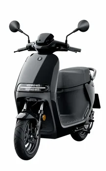 Segway E300SE